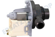 Lux 1326630207 Waschmaschinen Pumpe Askoll Fin=25 Fuit=16 geeignet für u.a. LF6650