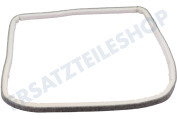 V-zug 481246668561 Wäschetrockner Filzband Vorderseite geeignet für u.a. TRK3780