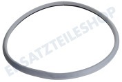 Zanussi-electrolux 1251085021 Wäschetrockner Dichtungsgummi zwischen Tür und Filter geeignet für u.a. TCE7114, TCE7224