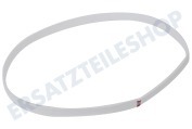 Corbero 1250129200 Wäschetrockner Filzband hinten geeignet für u.a. TDE4124, TD4100, ZTB160