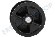 Castor 8581250125037 Wäschetrockner Spannrolle Kunststoff -breit- geeignet für u.a. Z 100-MD 110R