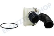 Scholtes C00257904 Spülmaschine Heizelement inklusive Pumpengehäuse und Schläuchen geeignet für u.a. DFP274NXEU, LDF12314XEU