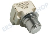 Eudora 165281, 00165281  Thermostat-fix NTC -von Element- geeignet für u.a. SGI4555EU