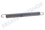 Sauter 1881030100  Türfeder geeignet für u.a. DSN2530X, D8879FD