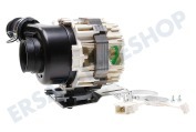 Hanseatic 481010625628 Spülmaschine Pumpe Umwälzpumpe für Geschirrspüler geeignet für u.a. ADG6340,