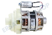 Pelg 405253 Spülmaschine Zirkulationspumpe mit Kondensator geeignet für u.a. GVW465RVSP02, TFI7001ZTE01