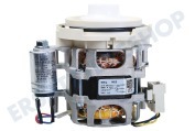 Inventum 556161 Geschirrspülmaschine Pumpe Zirkulation geeignet für u.a. GVW487ONYP01, VW544ZTE01, GVW431RVSP01