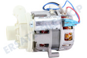 Inventum 30401000601 Geschirrspülmaschine Umwälzpumpe geeignet für u.a. IVW6008A, VVW6035AS, VVW7040S