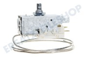 Ranco 134770 Gefrierschrank Thermostat K59-H1346 3 Kontakte Kapillare 600 mm, 3 x 4,8 mm Ampereklemme geeignet für u.a. Kühlthermostat