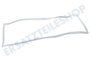 Sauter 2248016434 Gefrierschrank Dichtungsgummi Magnetdichtung Gefrierschrank geeignet für u.a. ZBF22451SA, ERN3201AOW