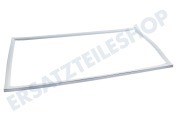 Alno 2248007557 Gefrierschrank Dichtungsgummi Weiß 969,5x516,5mm geeignet für u.a. S24424DT, S19336I