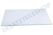 Faure Kühlschrank 2649011042 Glasplatte geeignet für u.a. SCS61400S2, ISANDE