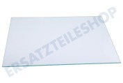 Frigidaire 2249121043 Kühlschrank Glasplatte komplett geeignet für u.a. AGS58800S1, FRYSA30282343