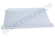 Zanker 2251639205 Kühlschrank Glasplatte komplett geeignet für u.a. SDS51400S1, EJN2301AOW