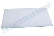 Progress 2249121035 Gefrierschrank Glasplatte Gefrierteil geeignet für u.a. KOLDGRADER, ISANDE, IK2580BNR