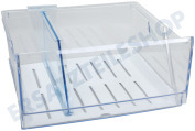 Ikea 2251517203 Kühlschrank Gemüseschale Frischhalteschublade transparent geeignet für u.a. FBCF22864, HAFTIGT40282366
