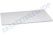 Westpoint 481946678466 Gefrierschrank Glasplatte 51,4x30cm Sicherheitsglas geeignet für u.a. KR30560, KR34562,