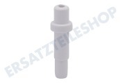 Dimplex 153429, 00153429 Kühlschrank Stift Lagerzapfen für Gefrierfachtürscharnier geeignet für u.a. KT14LS201, KU17L04
