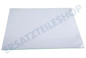 Koenic Kühlschrank 11004279 Glasablagefach geeignet für u.a. GSN33VW3P02, GS29NEWEV02
