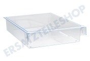 Solitaire 447513, 00447513 Kühlschrank Schale (Fach) 300x210x60 transparent geeignet für u.a. KF24LA50, KIL38A41