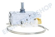 Thermostat A13 0447R D415