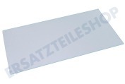 Candy 92955004 Kühlschrank Glasplatte 470x245mm geeignet für u.a. CDP24, HR250, ID24A, CD25