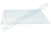Amica 4615300500  Glasplatte Ablageplatte (ohne Leisten) geeignet für u.a. CN228120, CS232020