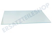 Essentielb 4362722800 Kühlschrank Glasplatte geeignet für u.a. SN140220, SS137020