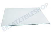 Grundig 4655590400 Gefrierschrank Glasplatte Im Gefrierfach 401x348mm geeignet für u.a. CSA240M21W, RCSA225K20W, RCSA240M30W