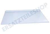 Teka 4657830100 Gefrierschrank Glasplatte Ablagefach mit Leisten geeignet für u.a. BLSA16020S, RSSA315K21W, KCHA300K20XP