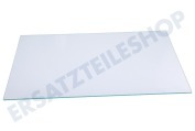 Grundig Gefrierschrank 5770720100 Glasablagefach geeignet für u.a. KSSE2620W, RCHE300K20W