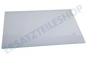 Arcelik Kühlschrank 4299893600 Glasablagefach geeignet für u.a. SSE26006, SSE26026
