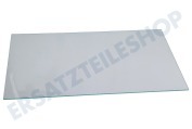Grundig 4655591000 Gefrierschrank Glas-Ablagefach geeignet für u.a. KDSA2430WN, BLSA16020S, GSMI20330N