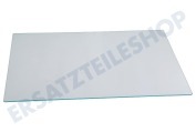 Essentielb 4656270100 Gefrierschrank Glasplatte Ablagefach geeignet für u.a. RCSA240K30WN, RDSA240K31WN