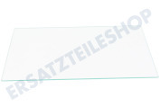 Elettrozeta 4214903500 Kühlschrank Glasplatte geeignet für u.a. SSE26006, RBI6306