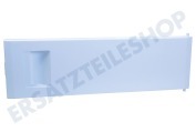 Gram 4331750800 Kühlschrank Gefrierfachklappe Gefrierfachtür geeignet für u.a. BU1153, BU1152HCA