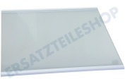 Hisense HK2004335 Gefrierschrank Glasplatte geeignet für u.a. NRS8181KX, RS560N4AD1