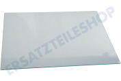 Sibir 459397  Glasplatte geeignet für u.a. FN6192PB, FNE6192CW