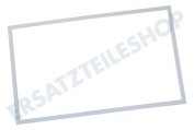 Hanseatic 481246668938 Gefrierschrank Dichtungsgummi für Kühleschrank 965x570mm geeignet für u.a. ARC55512, WBE3413AW