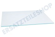 Atag-pelgrim 481010463485  Glasplatte über der Gemüseschublade geeignet für u.a. ART6500A, ARG18470A