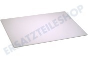 Erres 481946678231 Gefrierschrank Glasplatte 48 x 33,5 cm geeignet für u.a. ART789 / G