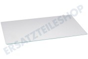 Functionica 481245088125 Kühlschrank Glasplatte 46,8x29,5cm geeignet für u.a. ALG160G, ARB578S01,