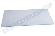 Bauknecht Gefrierschrank 480132102676 Glasplatte geeignet für u.a. ART870GK, ART499NF5