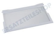 Hanseatic 481245088134 Gefrierschrank Glasplatte 475x290x5mm mit Leisten geeignet für u.a. ARG955, ART478, KRI1500A