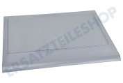 Gram 481010358035 Kühlschrank Ablageplatte Kunststoff, 393x342mm geeignet für u.a. KSN540AIL, WSN5583AN