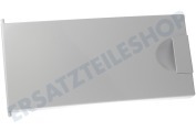 Bauknecht 481244069338 Gefrierschrank Gefrierfachklappe Komplett mit Griff geeignet für u.a. ART599