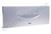 Ignis 481241619514 Kühlschrank Gefrierfachklappe komplett mit Griff und Dichtung geeignet für u.a. ARG340, KVI1359A