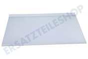 Hisense 433266 Gefrierschrank Glasplatte Komplett mit Leisten geeignet für u.a. PKV4180WIT