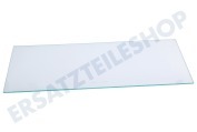 Pelgrim Gefrierschrank 35879 Glasplatte geeignet für u.a. KK2224AP05, KK2174AP01