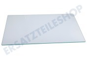 Pelgrim 35851 Gefrierschrank Glasplatte Gemüseschublade geeignet für u.a. KK3302AP02, KK2304AP01